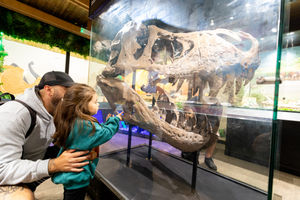 One of the Telford Exotic Zoo exhibits.