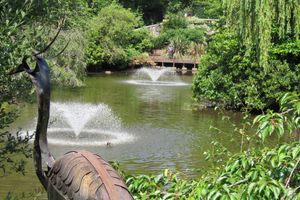 20,000 litres of water has been pumped into the pool at The Dingle 