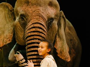 Supporting image for story: Running Wild to be staged at Wolverhampton theatre