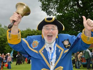 Supporting image for story: High Street success for Newport Carnival - with pictures