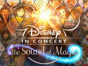 Supporting image for story: Dream show for Disney fans to hit Birmingham this year - how to get tickets