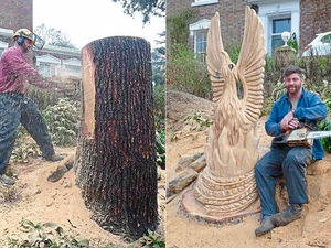Supporting image for story: Phoenix rises from the sawdust for Shropshire sculptor