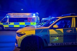 Picture from the WMAS website