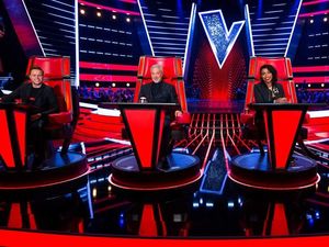 Supporting image for story