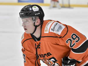 Supporting image for story: Telford Tigers’ Nick Oliver back for a fourth year