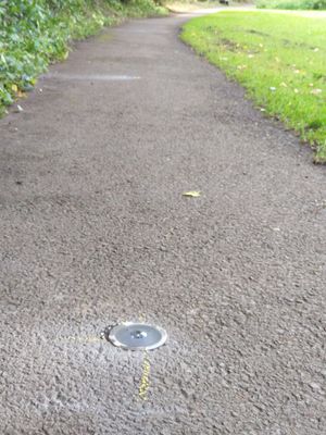 Supporting image for story: Council hoping to light up Newport with canal path solar-powered lights