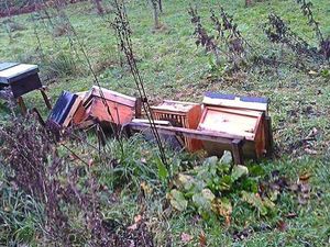 Supporting image for story: Beehive attack at Mid Wales honey makers is 'mindless and spiteful'