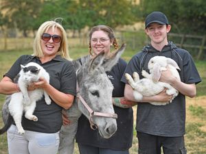 Supporting image for story: Happy haven for animals in south Staffordshire countryside looking to become wellbeing hub and charity