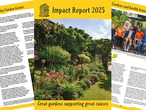Supporting image for story: 2025 was a landmark year for the National Garden Scheme with a record £3,875,596 donated from garden openings throughout the year