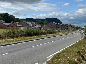 Supporting image for story: Affordable housing scheme is approved in Powys border village