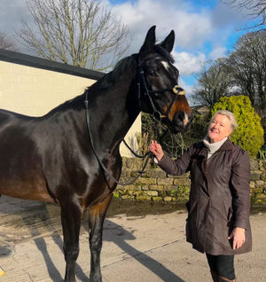 Liz Hopper from HarryHall.com