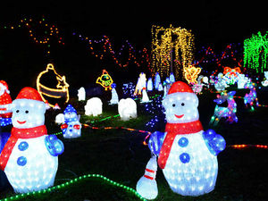 Supporting image for story: In pictures: Shropshire man's bright idea to boost charity funds with festive lights