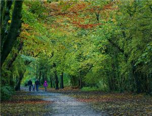 Family Walk by John Ridgway