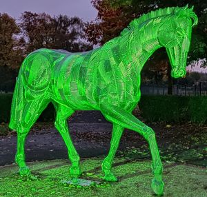 Sites in Walsall such as Palfrey Park lit up green in celebration