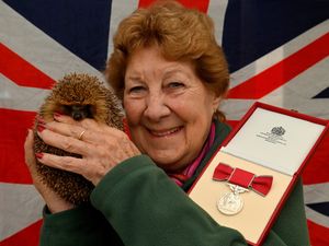 Supporting image for story: Staffordshire hedgehog hero, 82, honoured with British Empire Medal for a quarter-century helping wildlife