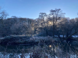 Supporting image for story: Restoring a 160-acre valley near Presteigne – find out how it was done at a local event