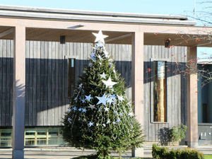 Supporting image for story: Festive food and gift fair heading for National Memorial Arboretum