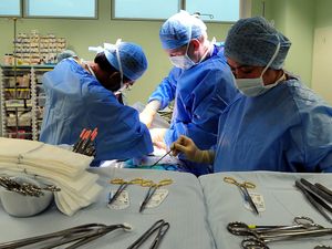 Supporting image for story: New trial will see lung transplant patients also given donor ‘skin patches’