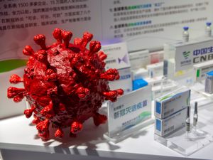 Supporting image for story: Bahrain approves Chinese Covid vaccine for use