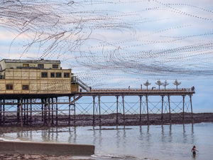 Photo taken by Andrew Fusek Peters, pro wildlife photographer