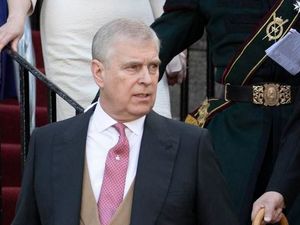 Supporting image for story: Peter Rhodes on an imaginary admiral, insurance rip-offs and the slaughter of the hedgehogs