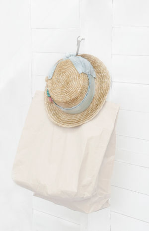 Bag and Boater by Fran Hartshorne