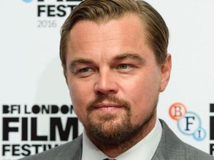 Supporting image for story: A new beetle species has been named after Leonardo DiCaprio