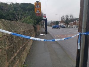 Supporting image for story: Woman charged with perverting course of justice after 64-year-old man killed in Dudley hit-and-run