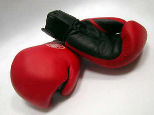 Supporting image for story: Boxing club to keep youth off the streets