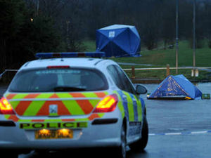 Supporting image for story: Scream of murdered man heard