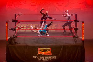 The live show features various stunts and performances alongside the world-class wrestling
