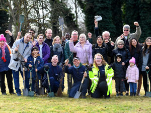 Supporting image for story: Young Muslims help their community through tree planting