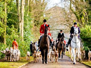 Supporting image for story: Hundreds flock to traditional Hagley Hall hunt – with PICTURES 
