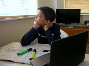 Supporting image for story