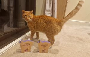 Top Cat Fizz showing off his awards