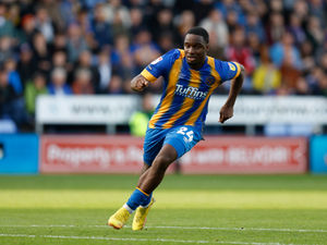 Supporting image for story: Marosi and Saydee solid but struggle for Salop: Shrewsbury 0-1 Charlton - player ratings