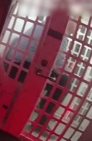 Francis was arrested the day after the crash