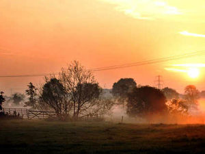 Supporting image for story: Good luck, garden, it's autumn and I've given up