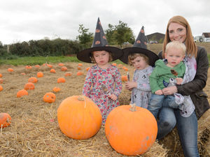 Supporting image for story: Apley Farm Shop to host annual pumpkin festival