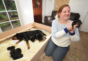 Owner Eleanor Usher with the puppies