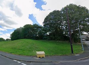 The Newark Road Trees' full foliage blocks out light residents say. Picture Google free for LDRS use
