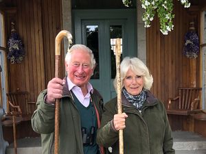 Supporting image for story: Charles and Camilla release new picture to celebrate Christmas