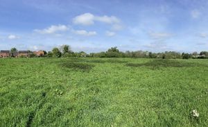 Photo: Shingler Homes Ltd