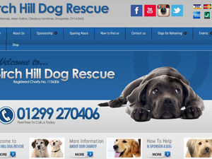 Supporting image for story: Fraud-hit Shropshire dog charity struggling to survive