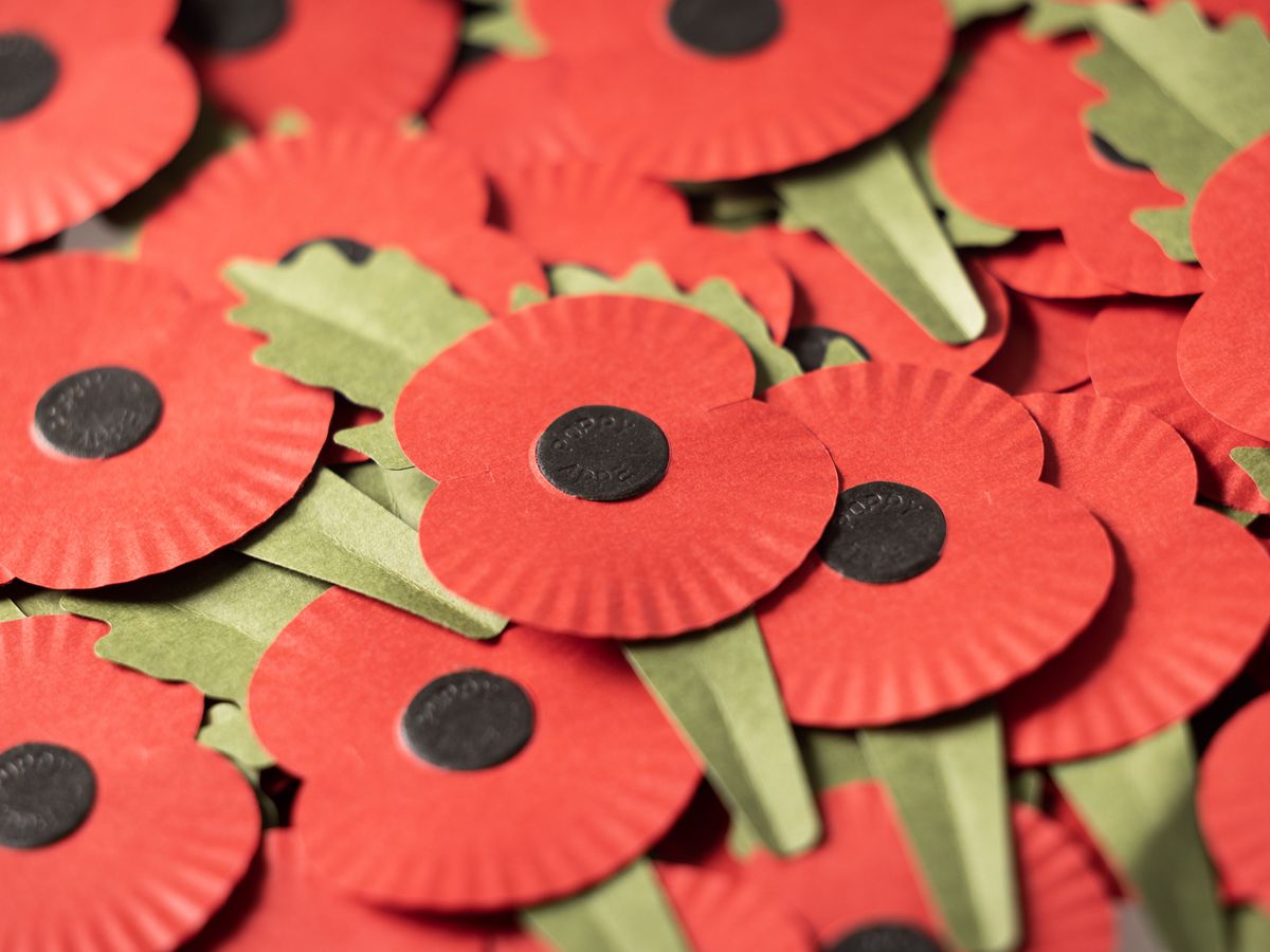 Royal British Legion launches annual poppy appeal