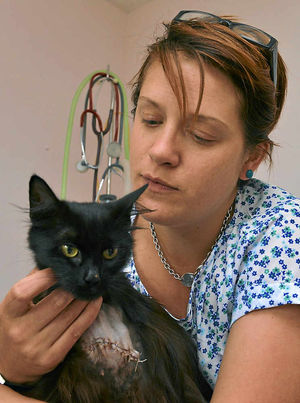 Sam Davies, practice manager of Oakwood Vets, with the cat