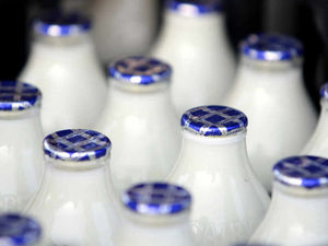 Supporting image for story: Tesco announces price rise for dairy farmers