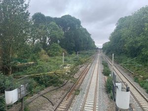 Supporting image for story: Train cancellations warning as fallen tree causes travel chaos