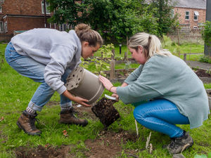 Supporting image for story: Nature festival in full swing in Shrewsbury