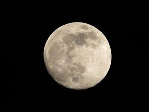 Supporting image for story: Israeli Beresheet spacecraft set to become first commercial moon lander